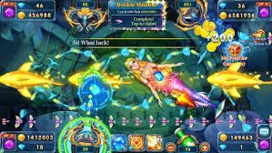 90xyz